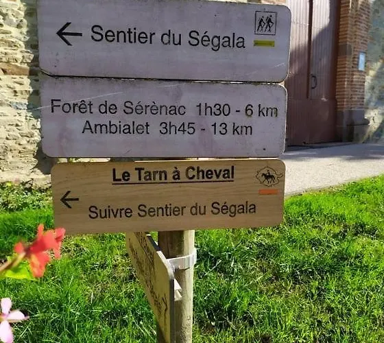 Nougaro 2 Pers Private Ouvert A L'annee Ferienhaus Saussenac